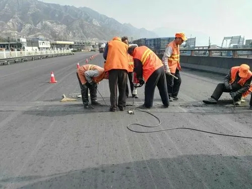 梁子湖道路桥梁病害治理